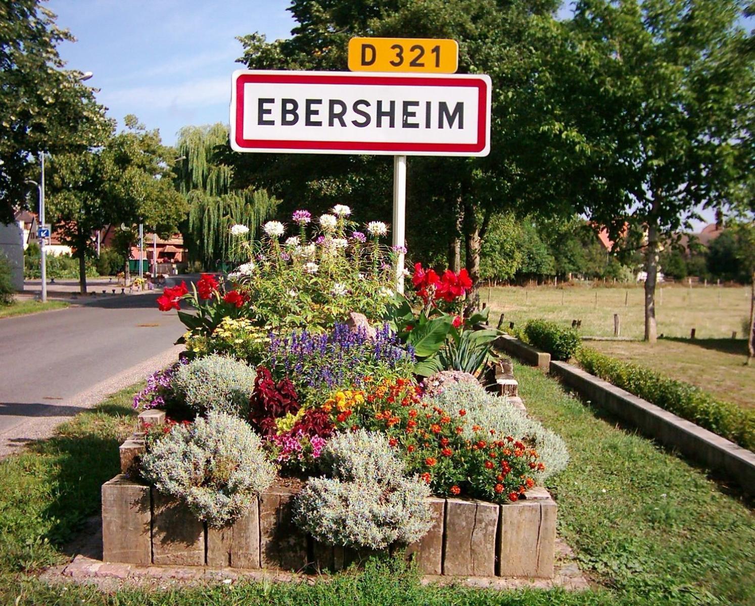 Gite Jeanne Familial - Calme - Parking Ebersheim المظهر الخارجي الصورة