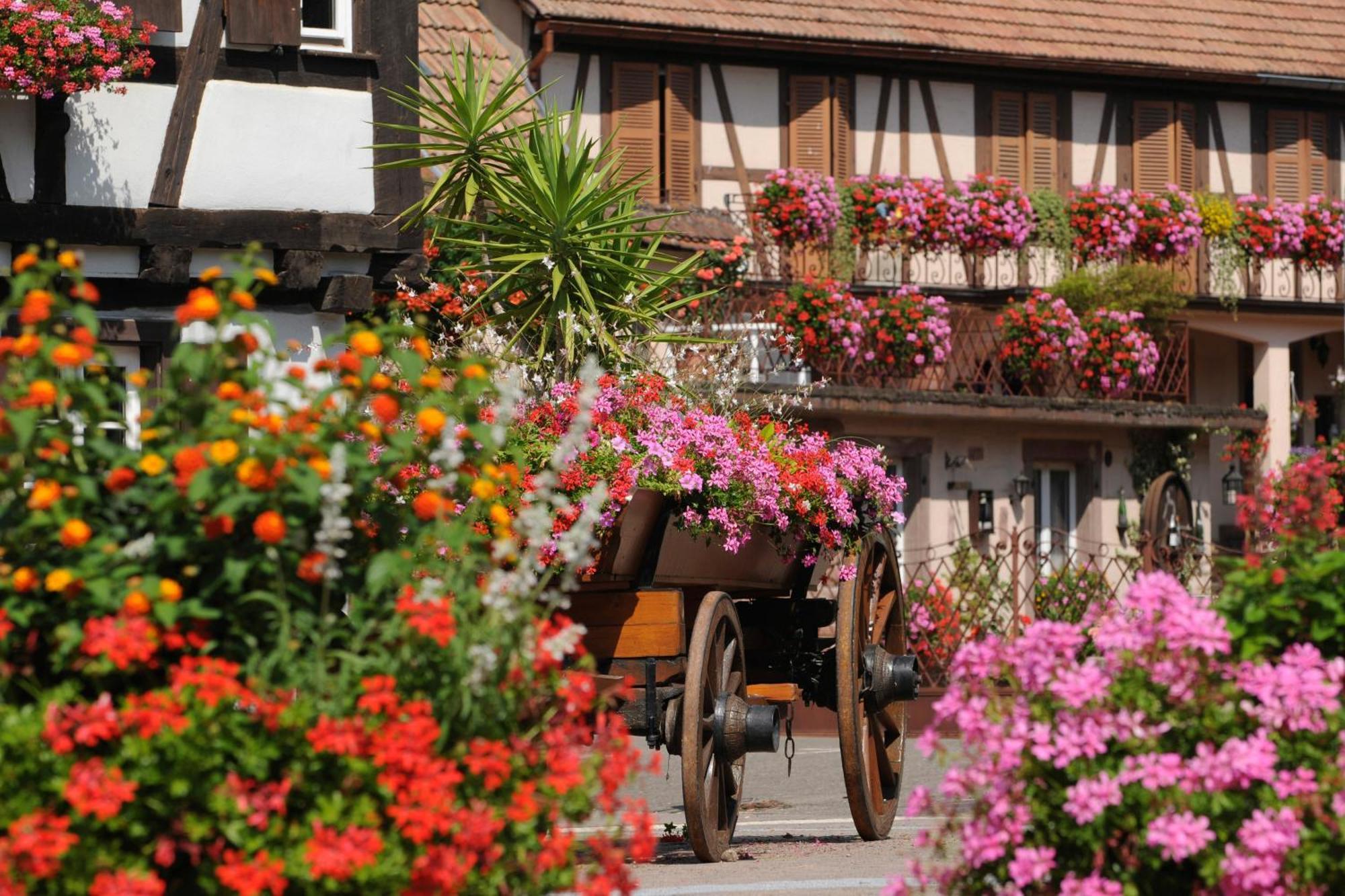Gite Jeanne Familial - Calme - Parking Ebersheim المظهر الخارجي الصورة